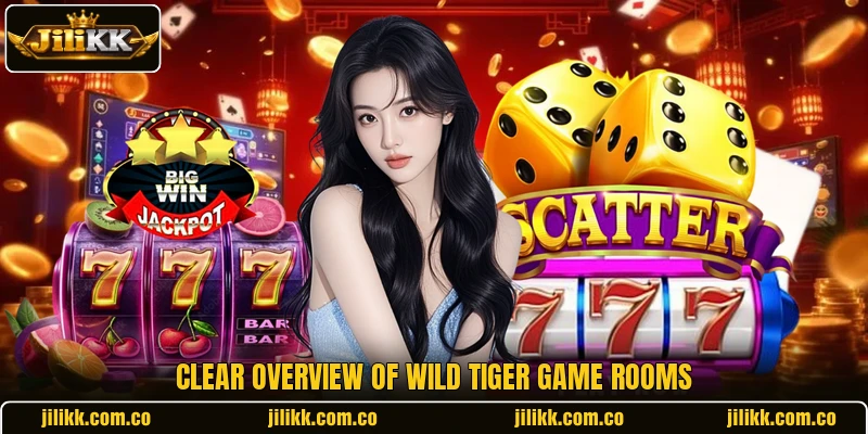 Clear overview of Wild Tiger game rooms